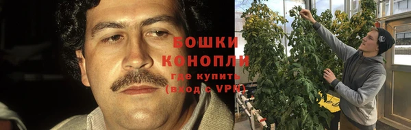 метадон Горнозаводск