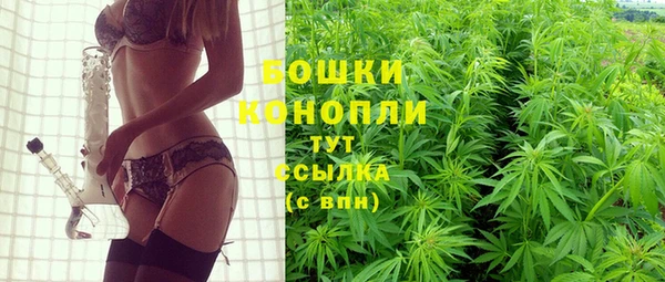 ПСИЛОЦИБИНОВЫЕ ГРИБЫ Лабытнанги