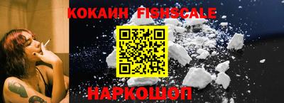 стаф Гатчина