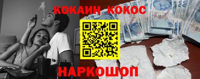 стаф Гатчина