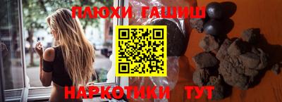 стаф Гатчина