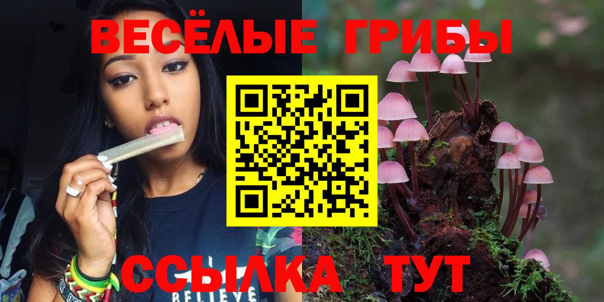 Псилоцибиновые грибы прущие грибы  Псилоцибиновые грибы ЛСД  Вход с VPN  Гусь-Хрустальный 