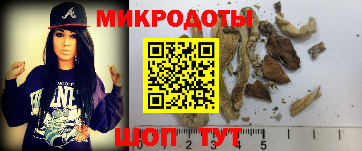 Галлюциногенные грибы Psilocybe  Галлюциногенные грибы мухоморы  закладка  Гусь-Хрустальный 