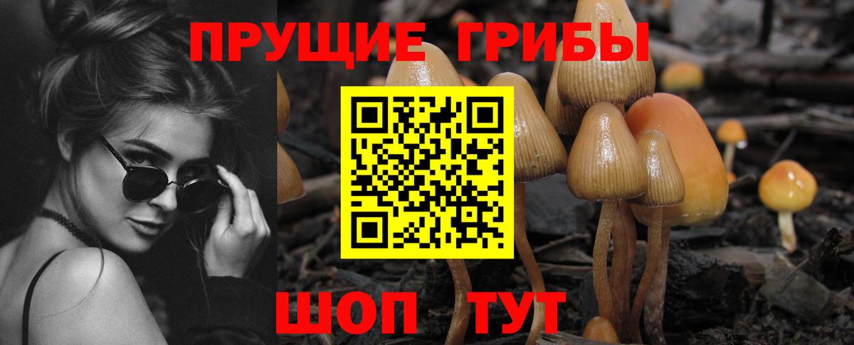 Галлюциногенные грибы прущие грибы Гусь-Хрустальный